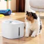 Fântână electrică InnovaGoods pentru câini și pisici