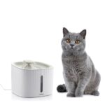 Fântână de apă InnovaGoods pentru uz casnic